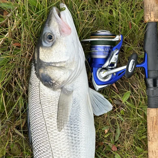 Light tackle bass fishing