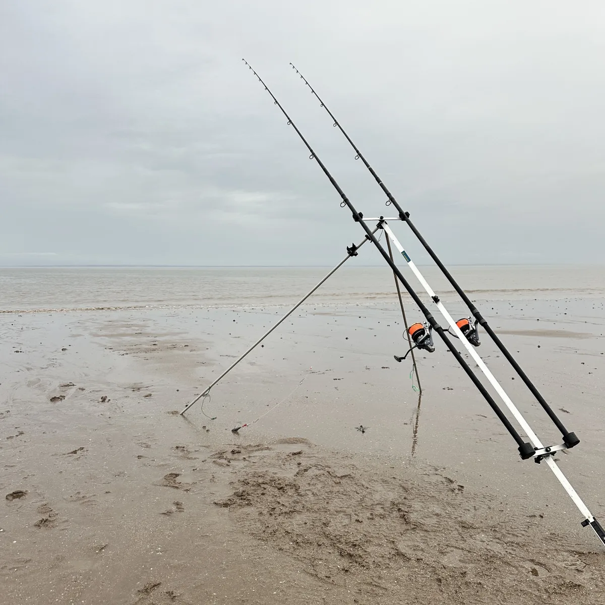 beach fishing reels uk Angling Pursuits 2 x 12FT BeachCaster MAX Sea Rod + 2 x SILK 70 SEA COMBO Sports & Outdoors Beach Fishing Reels - Angling