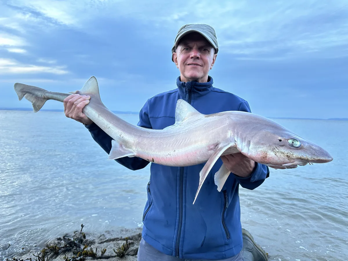 Smoothbound How to Catch Smoothhounds from the Shores of the Bristol Channel