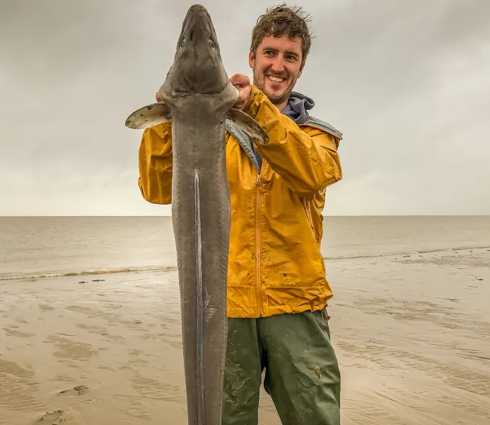 Target Conger eels on the Bristol Channel