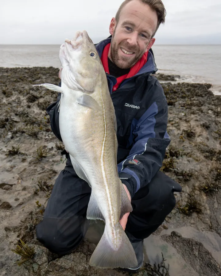 Channel Cod Fish How to Catch Cod from the Shores of the Bristol Channel in Somerset: A ...