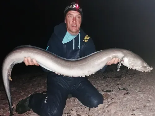 Angler cradling a big conger