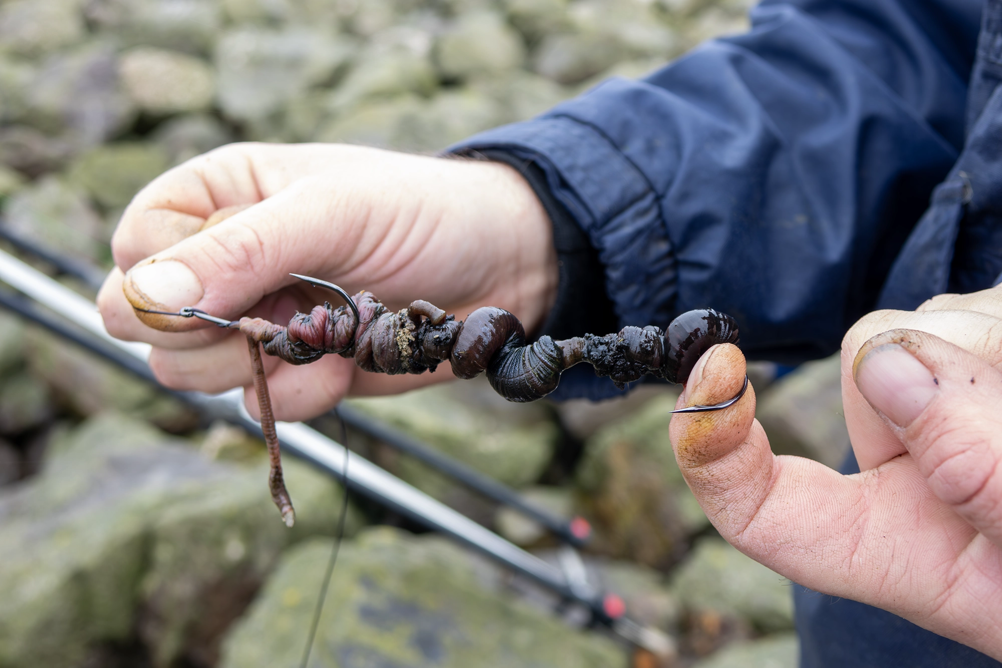 Select The Best Baits for Shore Fishing in the Bristol Channel