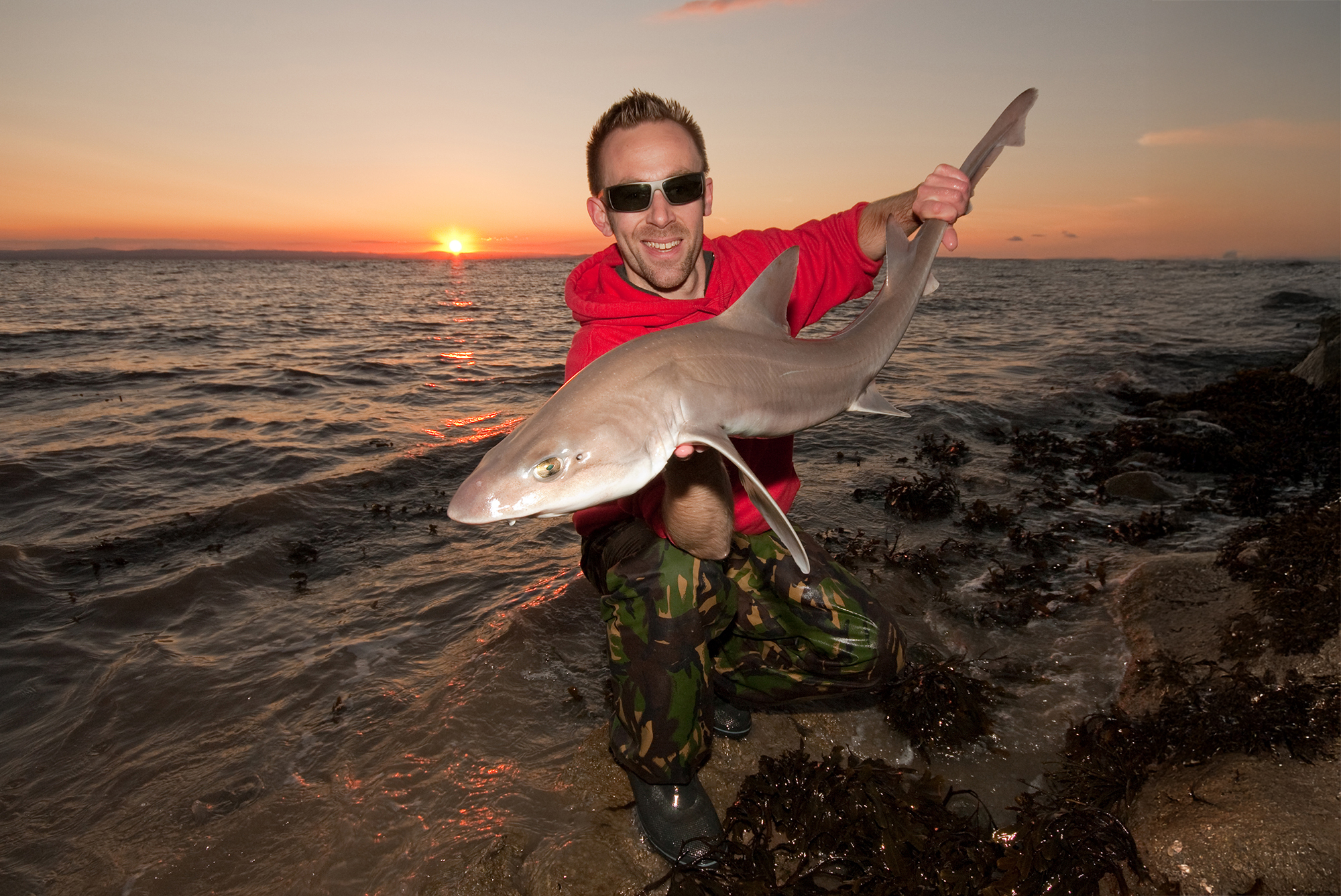 How to Catch Smoothhounds from the Shores of the Bristol Channel