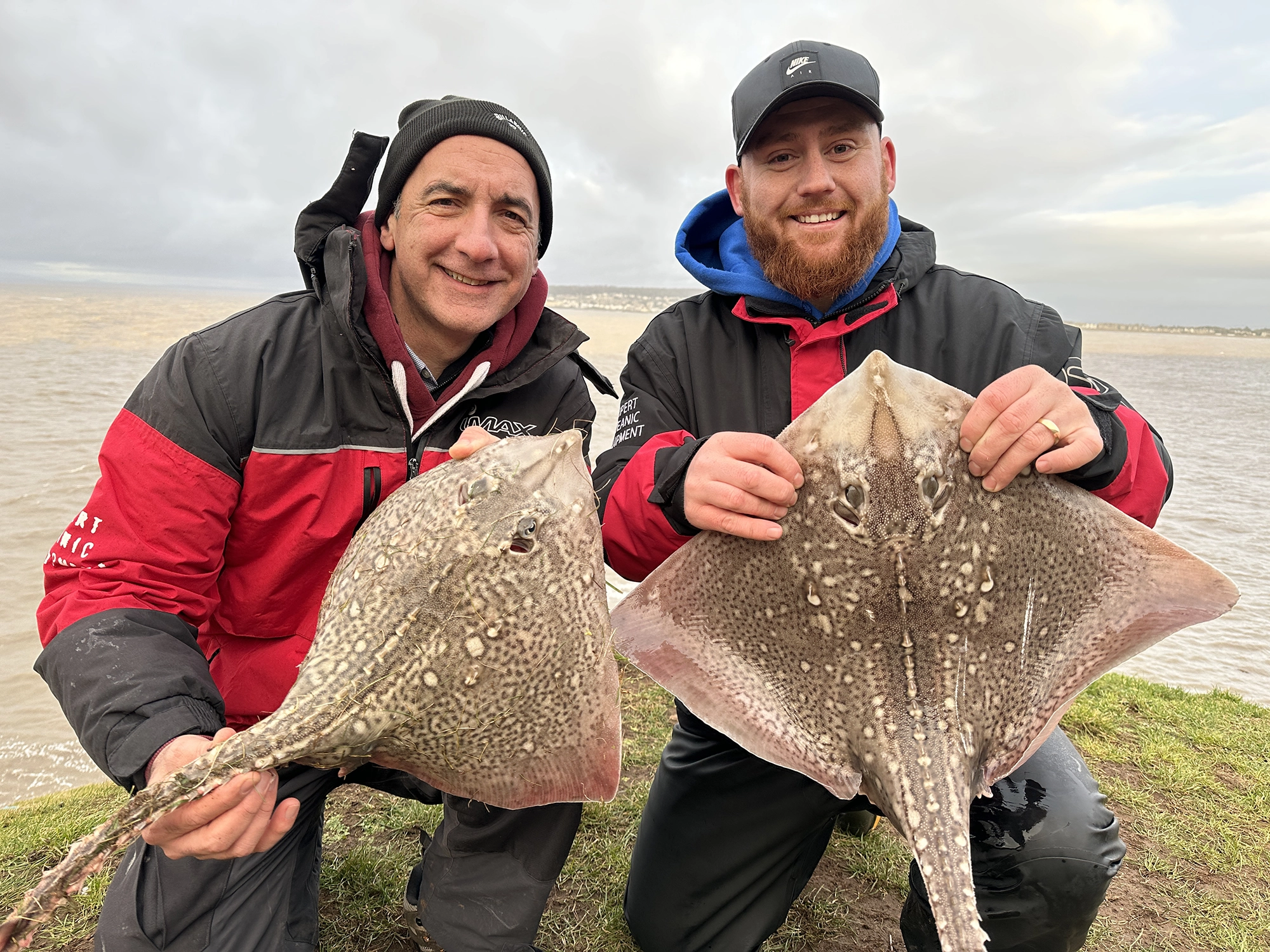 How to Catch Thornback Rays from the Shores of the Bristol Channel